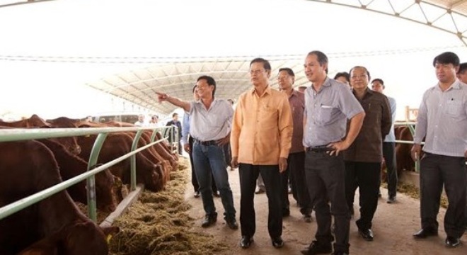 Phó thủ tướng Lào ghé thăm trang trại nuôi bò của Hoàng Anh Gia Lai