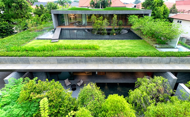 Công trình ở Singapore do Farm Architects thiết kế có nhiều điểm đặc biệt. Từ trên cao nhìn xuống, các khối bê tông, gạch đá gần như biến mất bởi mái nhà được phủ cây xanh, mặt nước