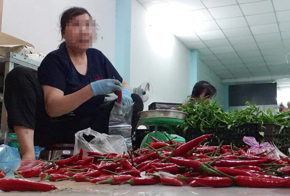 Công nhân sơ chế ớt cũ để đóng gói vào bao bì mới - Ảnh: BÔNG MAI