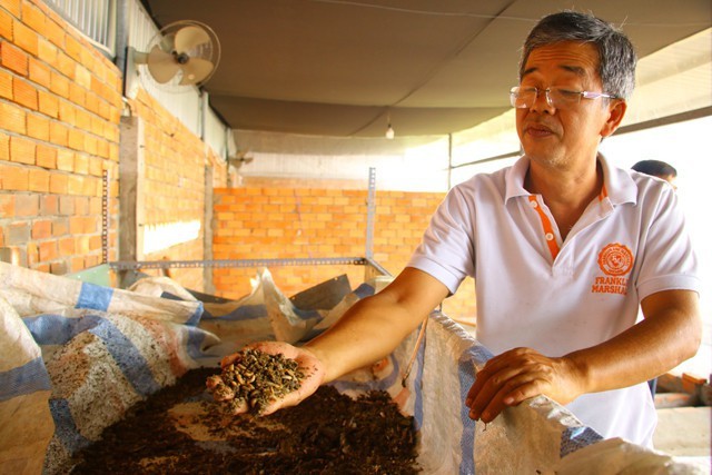 Mỗi tháng, nếu sản xuất hết công suất, trại nuôi ruồi lính đen của ông Dương Hữu Thoại có thể cho ra hơn 5 tấn nhộng ruồi.