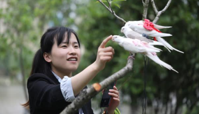 Trịnh Hàm - cô gái 9x với ý tưởng làm bỉm cho chim.