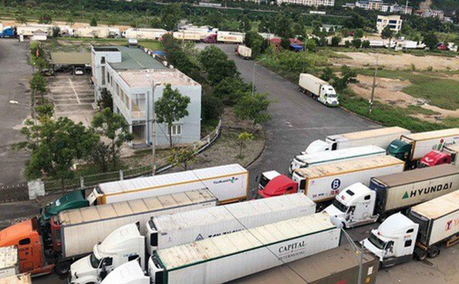 Hơn 500 xe container chở thanh long ùn ứ tại cửa khẩu khi làm thủ tục xuất hàng đi Trung Quốc - Ảnh: Tiền Phong