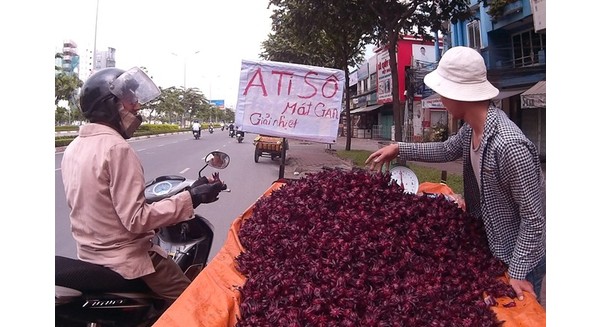 Loại bông được cho là atiso đỏ được người bán rao là mát gan, giải nhiệt có giá 30.000 đồng/kg. Ảnh: Zen Nguyễn.