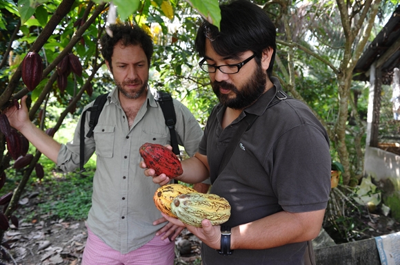 Vincent Mourou (trái) và Sam Maruta (phải) đang xem xét các quả cacao