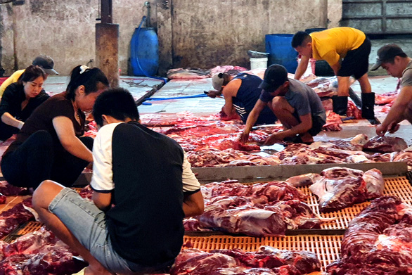 Cơ sở giết mổ bò tại huyện Trảng Bom, Đồng Nai vừa bị xử phạt về hành vi giết mổ không phép - Ảnh: A LỘC