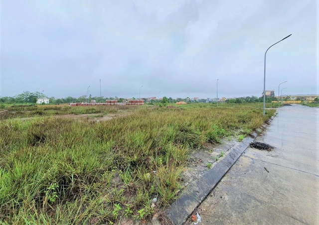 Những lô đất đấu giá ở Đồng Phươm, xã Thọ Lộc, huyện Phúc Thọ.
