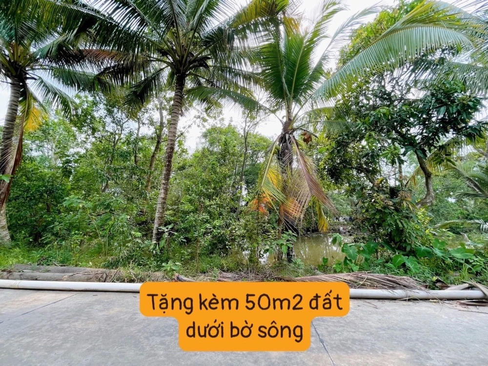 “Độc lạ” bất động sản tỉnh: Bán nhà tặng 50m2 đất dưới bờ sông
