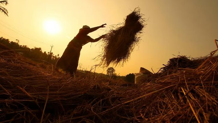 Mặt hàng chủ lực của Việt Nam đang được Ukraine mạnh tay săn lùng: Xuất khẩu tăng nóng hơn 1.300%, 150 quốc gia đang chốt đơn