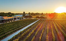 Thưởng thức rượu vang hảo hạng tại thung lũng Swan, Tây Australia