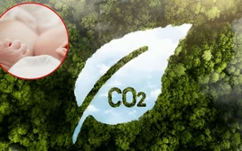 Ít ai ngờ: Cách nuôi con đơn giản, tiết kiệm này giúp giảm mạnh phát thải, được WHO khuyến khích toàn cầu