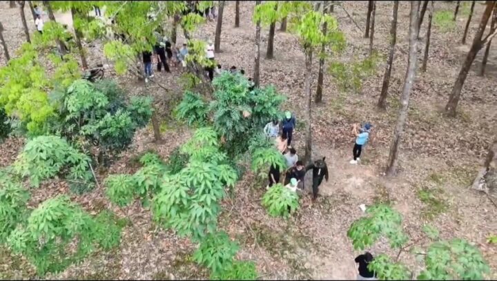 Phát hiện hơn 80 người tập trung tại một khu đất trống, công an sử dụng công nghệ cao vào cuộc - Ảnh 1.