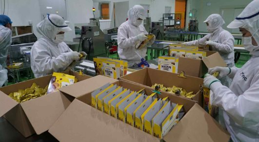 Một ‘đại bàng’ Nhật Bản chọn Việt Nam xây tổ, nước ta trở thành trung tâm xuất khẩu đi 12 nước - Ảnh 1.