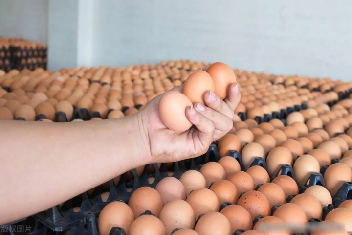 Đi chợ chọn trứng to nhất hay nhỏ nhất tốt hơn? - Ảnh 1.