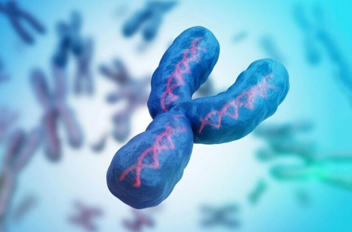 Nam giới đang mất dần nhiễm sắc thể Y - Ảnh 1.