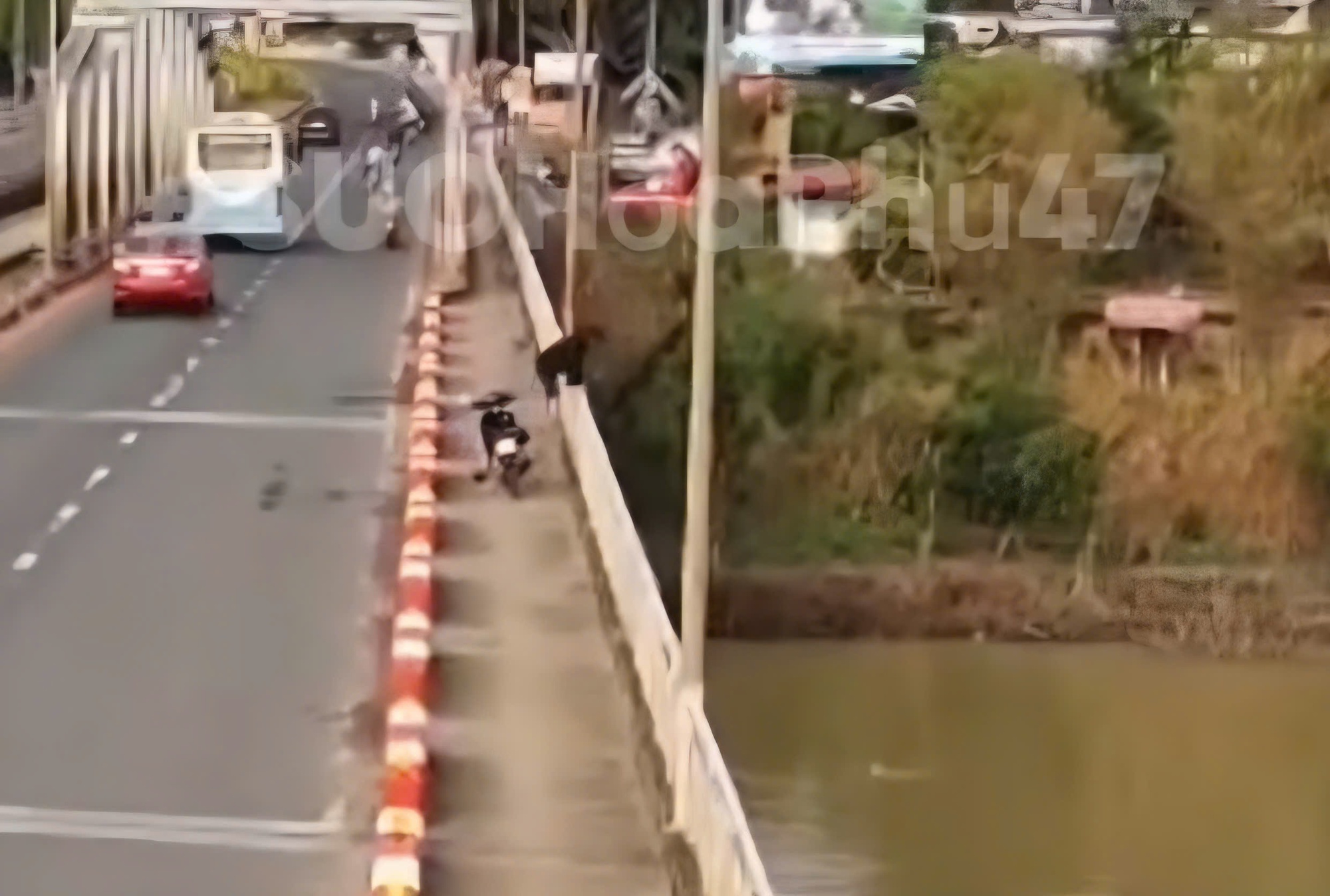 Cảnh nam thanh niên nhảy sông Sêrêpốk mất tích gây xôn xao dư luận 2026 - Ảnh 1.