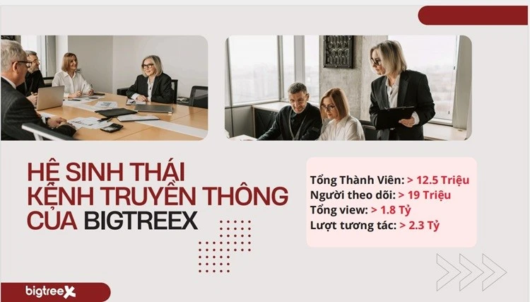 Hệ sinh thái kênh truyền thông của BigTreeX ghi nhận số lượng khủng về tổng thành viên, lượt xem và tương tác.