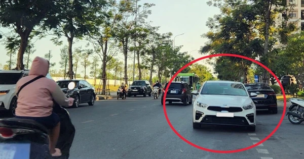 Phạt đi ngược chiều: Tăng mức phạt lên đến 40 triệu đồng Theo Nghị định 168 / 2024 - Ảnh 1.